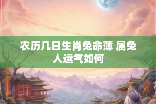 农历几日生肖兔命薄 属兔人运气如何