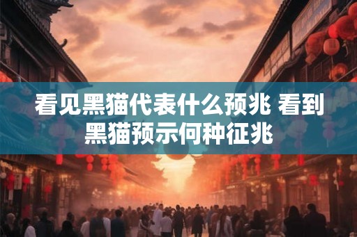 看见黑猫代表什么预兆 看到黑猫预示何种征兆