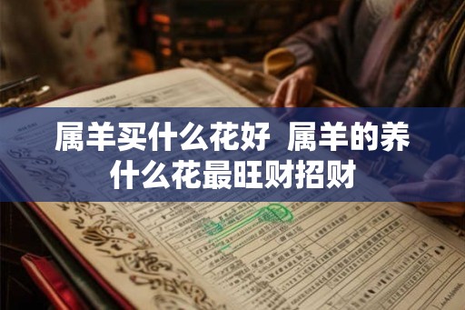 属羊买什么花好  属羊的养什么花最旺财招财