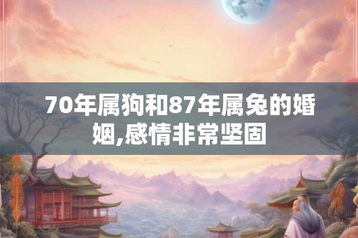 70年属狗和87年属兔的婚姻,感情非常坚固