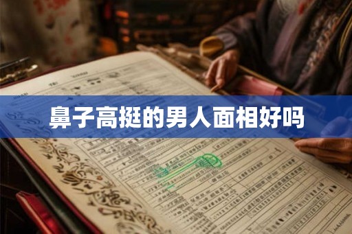 鼻子高挺的男人面相好吗