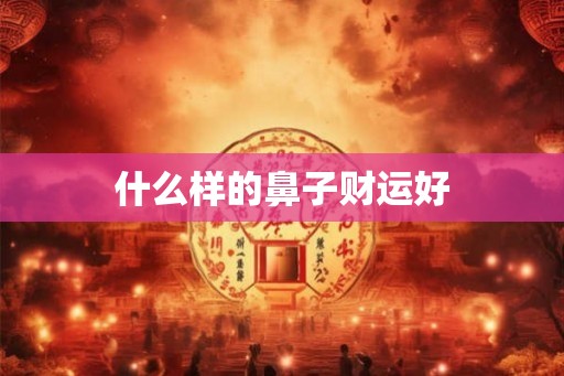 什么样的鼻子财运好