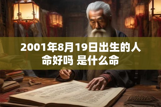 2001年8月19日出生的人命好吗 是什么命