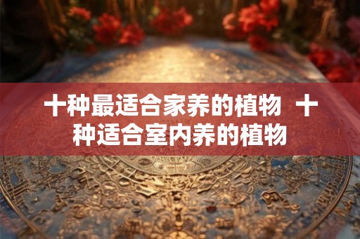 十种最适合家养的植物 十种适合室内养的植物 十种最适合家养的植物 十种适合室内养的植物