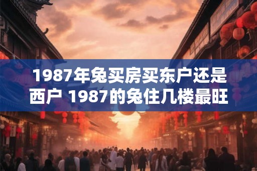 1987年兔买房买东户还是西户 1987的兔住几楼最旺