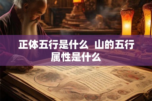 正体五行是什么  山的五行属性是什么
