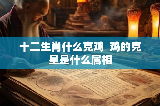 十二生肖什么克鸡  鸡的克星是什么属相