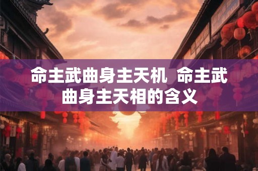 命主武曲身主天机  命主武曲身主天相的含义