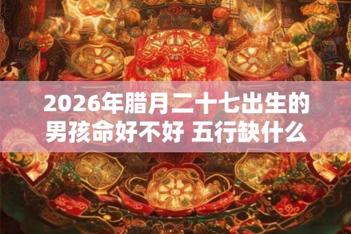 2026年腊月二十七出生的男孩命好不好 五行缺什么