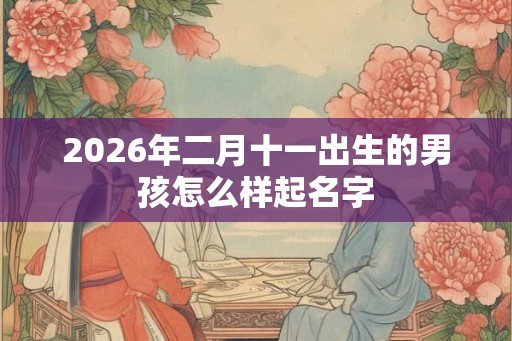 2026年二月十一出生的男孩怎么样起名字