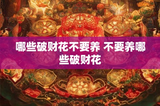 哪些破财花不要养 不要养哪些破财花