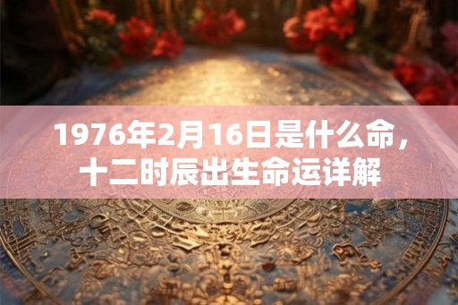 1976年2月16日是什么命，十二时辰出生命运详解