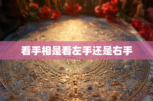看手相是看左手还是右手