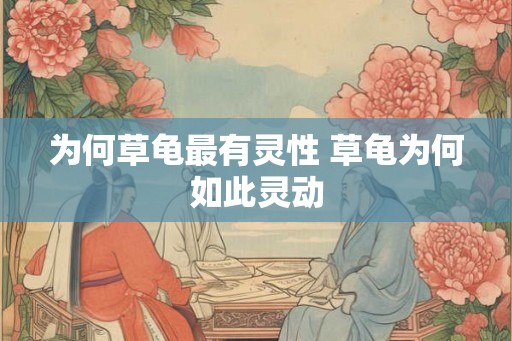 为何草龟最有灵性 草龟为何如此灵动