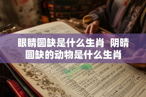 眼睛圆缺是什么生肖  阴晴圆缺的动物是什么生肖