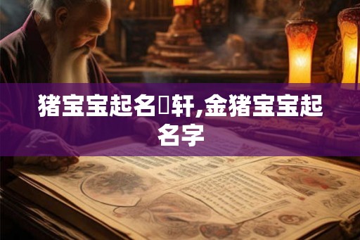 猪宝宝起名璟轩,金猪宝宝起名字