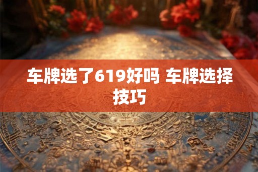 车牌选了619好吗 车牌选择技巧 车牌选了619好吗 车牌选择技巧