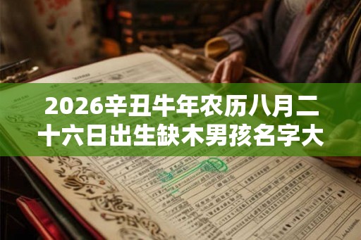 2026辛丑牛年农历八月二十六日出生缺木男孩名字大全好听