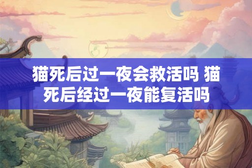猫死后过一夜会救活吗 猫死后经过一夜能复活吗