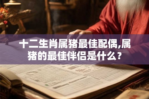 十二生肖属猪最佳配偶,属猪的最佳伴侣是什么？