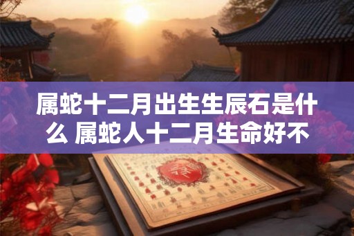 属蛇十二月出生生辰石是什么 属蛇人十二月生命好不好 属蛇十二月出生生辰石是什么 属蛇人十二月生命好不好