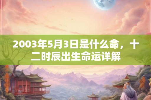 2003年5月3日是什么命，十二时辰出生命运详解