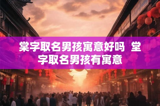 棠字取名男孩寓意好吗  堂字取名男孩有寓意