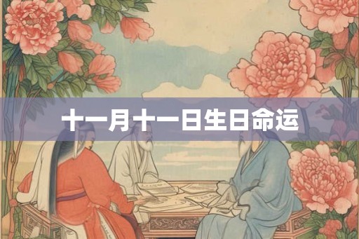 十一月十一日生日命运