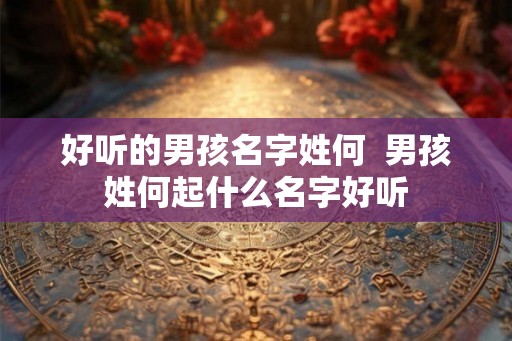 好听的男孩名字姓何  男孩姓何起什么名字好听