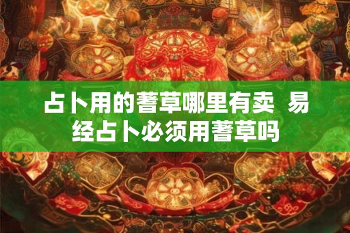占卜用的蓍草哪里有卖  易经占卜必须用蓍草吗