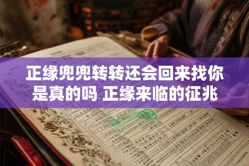 正缘兜兜转转还会回来找你是真的吗 正缘来临的征兆