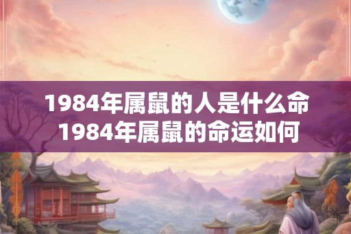 1984年属鼠的人是什么命 1984年属鼠的命运如何
