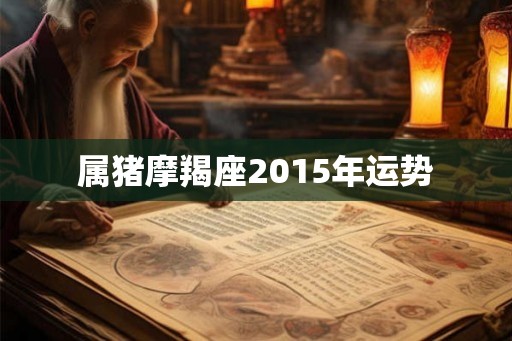 属猪摩羯座2015年运势