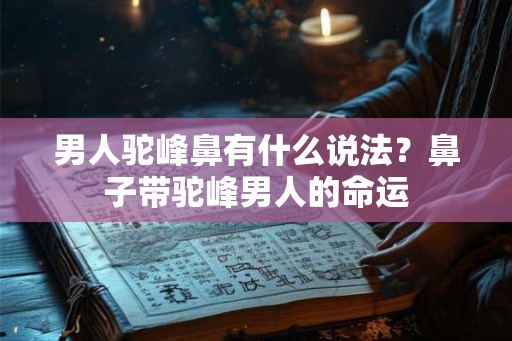 男人驼峰鼻有什么说法？鼻子带驼峰男人的命运