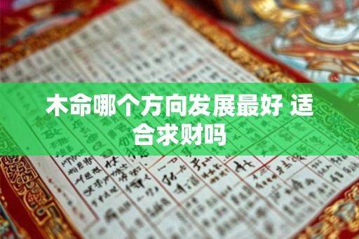 木命哪个方向发展最好 适合求财吗