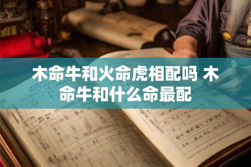木命牛和火命虎相配吗 木命牛和什么命最配