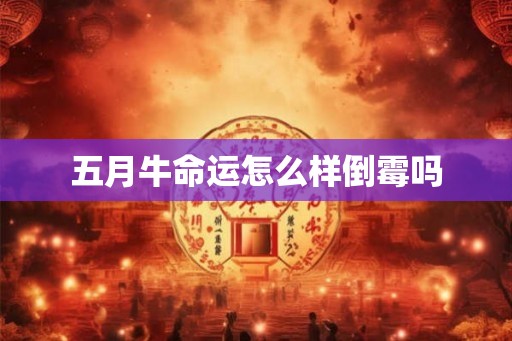五月牛命运怎么样倒霉吗