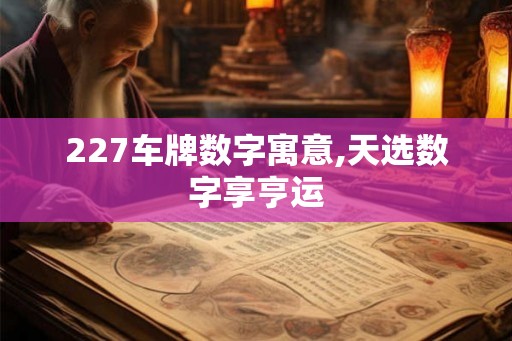 227车牌数字寓意,天选数字享亨运
