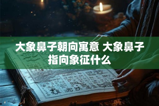 大象鼻子朝向寓意 大象鼻子指向象征什么