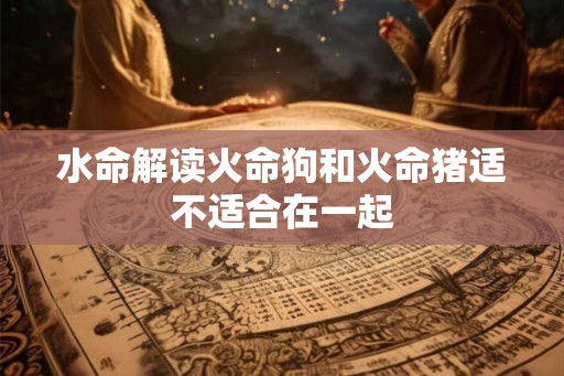 水命解读火命狗和火命猪适不适合在一起