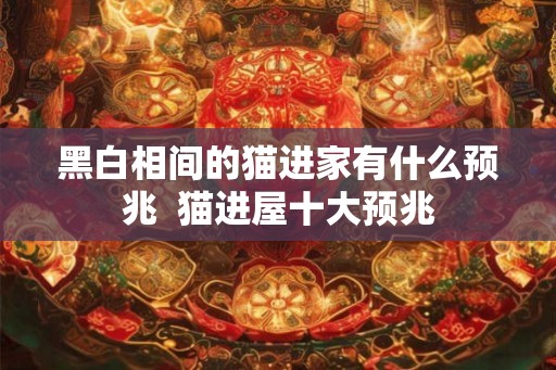 黑白相间的猫进家有什么预兆  猫进屋十大预兆