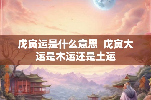 戊寅运是什么意思  戊寅大运是木运还是土运
