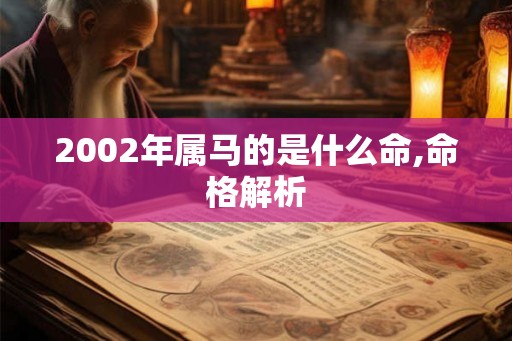 2002年属马的是什么命,命格解析