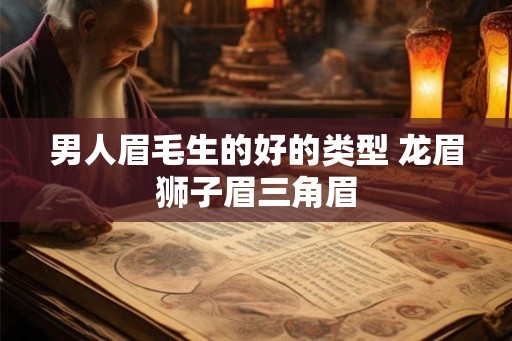 男人眉毛生的好的类型 龙眉狮子眉三角眉 男人眉毛生的好的类型 龙眉狮子眉三角眉
