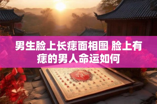 男生脸上长痣面相图 脸上有痣的男人命运如何
