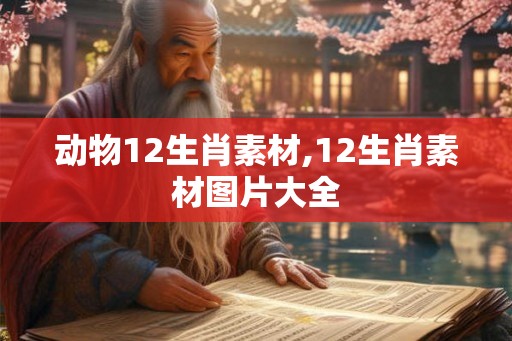 动物12生肖素材,12生肖素材图片大全