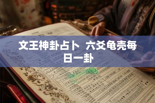 文王神卦占卜  六爻龟壳每日一卦