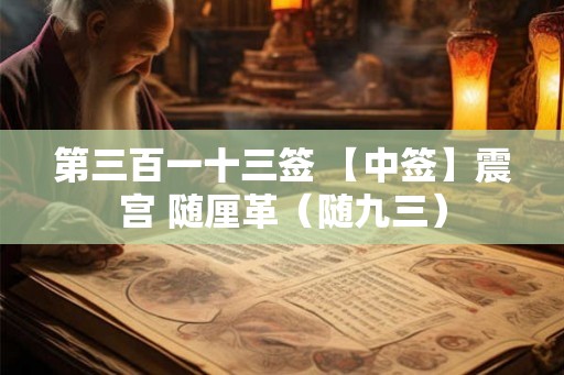 第三百一十三签 【中签】震宫 随厘革(随九三) 第三百一十三签 【中签】震宫 随厘革(随九三)