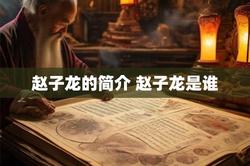 赵子龙的简介 赵子龙是谁