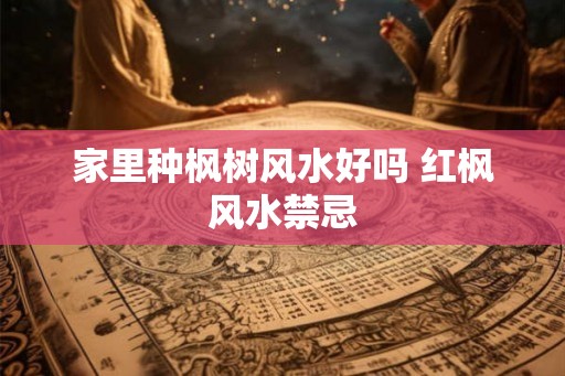 家里种枫树风水好吗 红枫风水禁忌